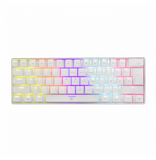 Tastier Mekanike White Shark GK-2022 Shinobi - Tr3bit